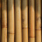 A wide shot of a bamboo screen
